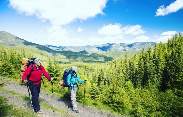 The Yosemite Inn image 12
